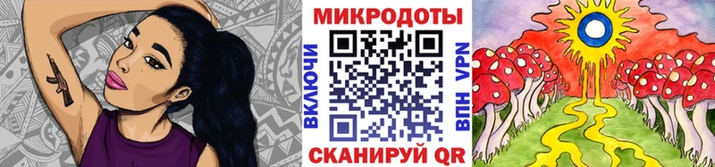 блэк спрут зеркало  Камышин  Псилоцибиновые грибы Psilocybine cubensis 
