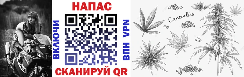 Марихуана гибрид  кракен как зайти  Камышин 